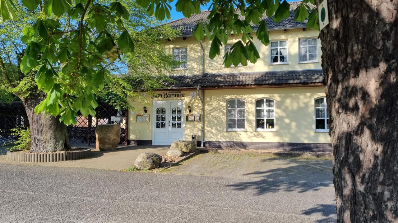 Wirtshaus & Pension "Zum Hammer" Neustadt  外观 照片